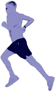 Hobble Creek Half Marathon Runner