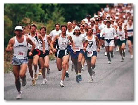 Hobble Creek Half Marathon Runner